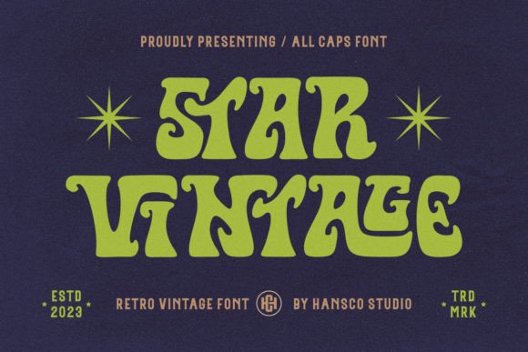 Star Vintage Font: Retro Serif Charm for Handmade Labels & Printables